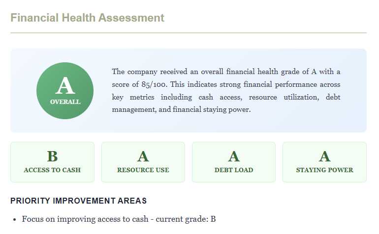 Sample Financial Health Assessment showing an overall grade with component grades for access to cash, resource use, debt load, and staying power, plus priority improvement areas